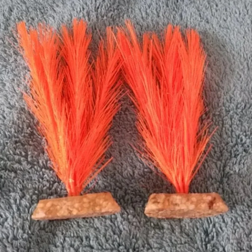 Orange Aquarium Standing Plants
